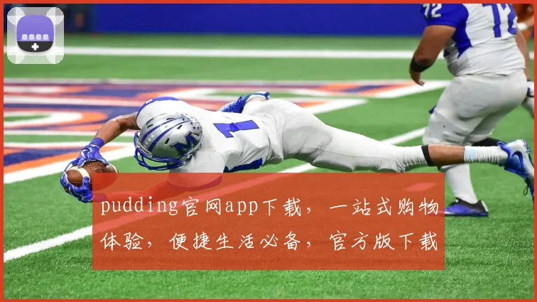 pudding官网app下载，一站式购物体验，便捷生活必备，官方版下载，立即享受