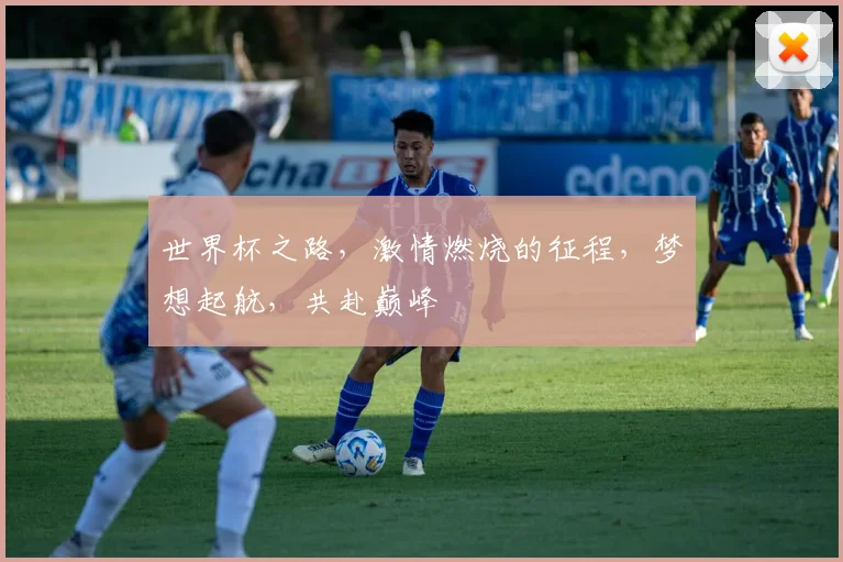 世界杯之路，激情燃烧的征程，梦想起航，共赴巅峰